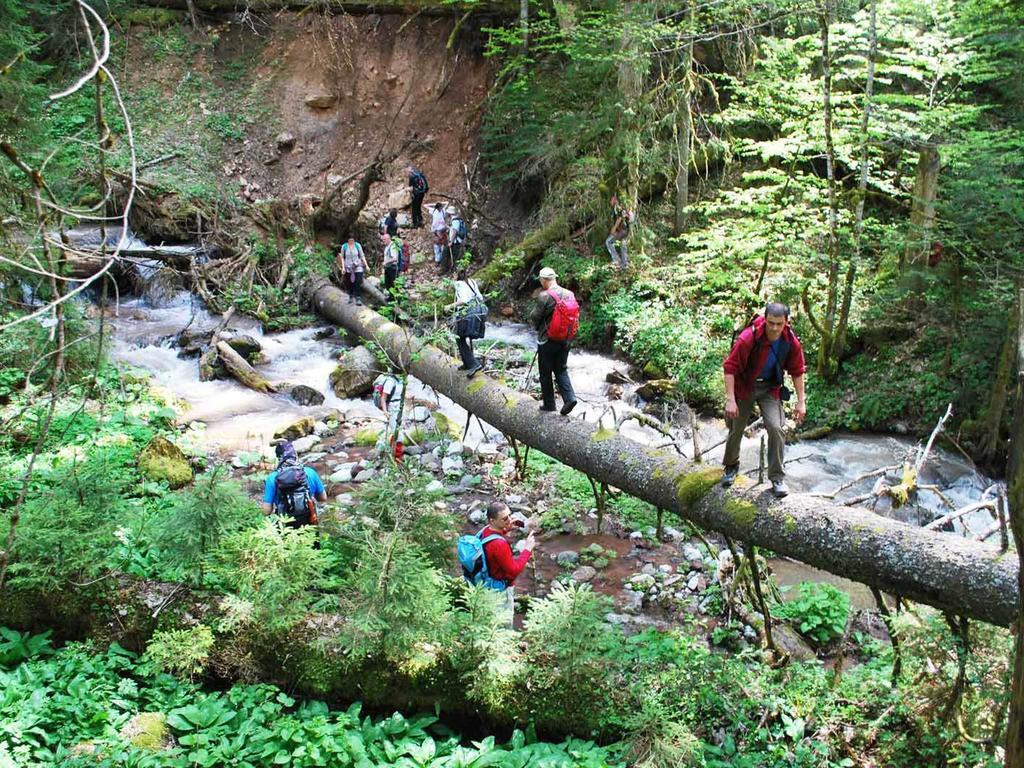 Rafting Camp Tara Center Tri Vodenice Bastasi Bagian luar foto